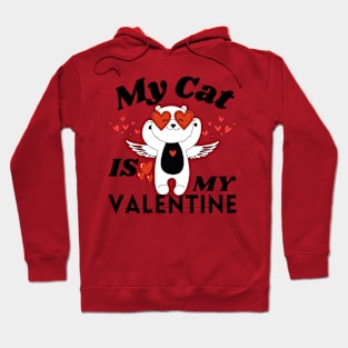 My Cat Is My Valentine Hoodie